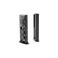 GoldenEar Triton Five